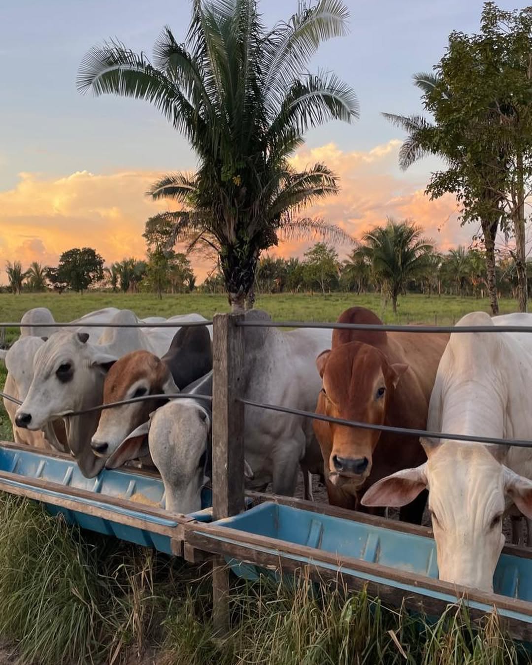 469327904_17961310580836027_5881109582931560393_n 1