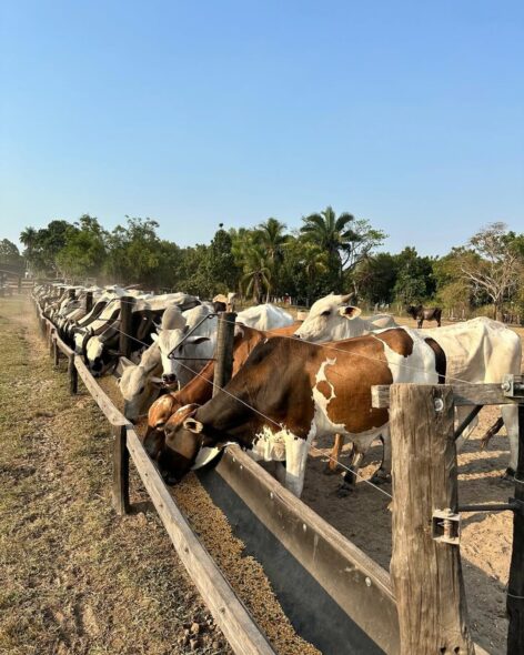 469331587_17961313310836027_386568169574326481_n e1769101466202