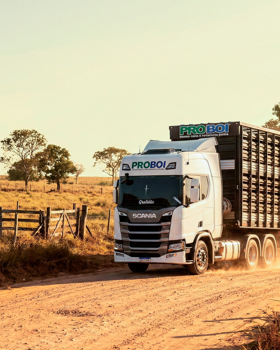 Gemini_Generated_Image_8iqo5u8iqo5u8iqo